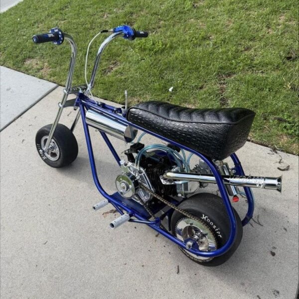 GTS Custom Mini Bike — Fully Built 212 Chrome Forks