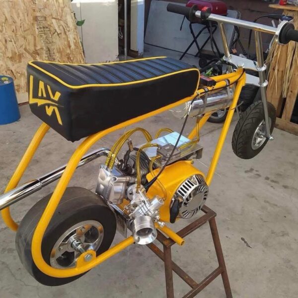 LAX Bumble Bee Dragster