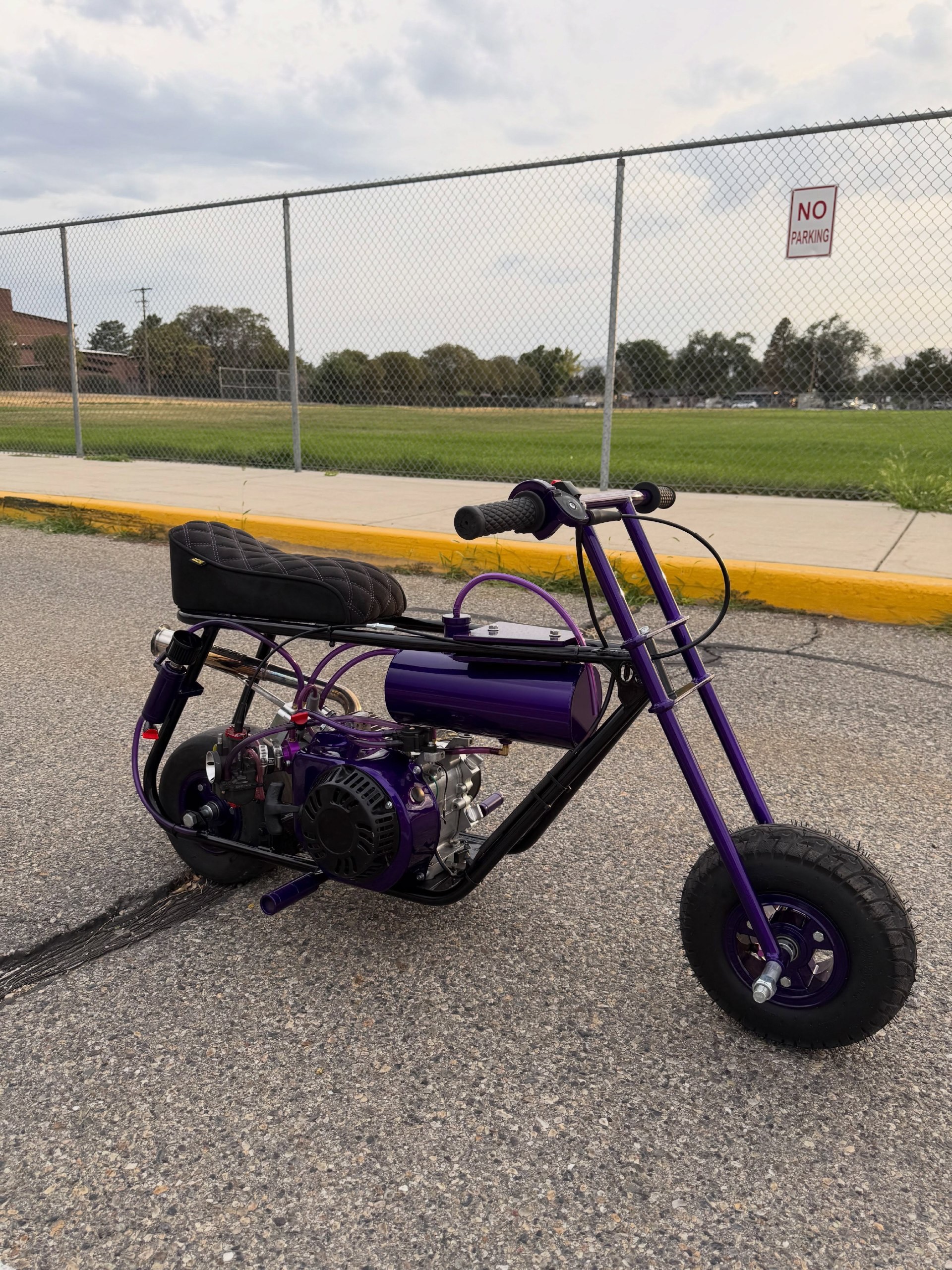 Purple Custom Mini Bike 75+ MPH