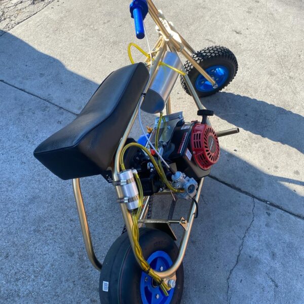 Custom Mini Bike Gold & Blue