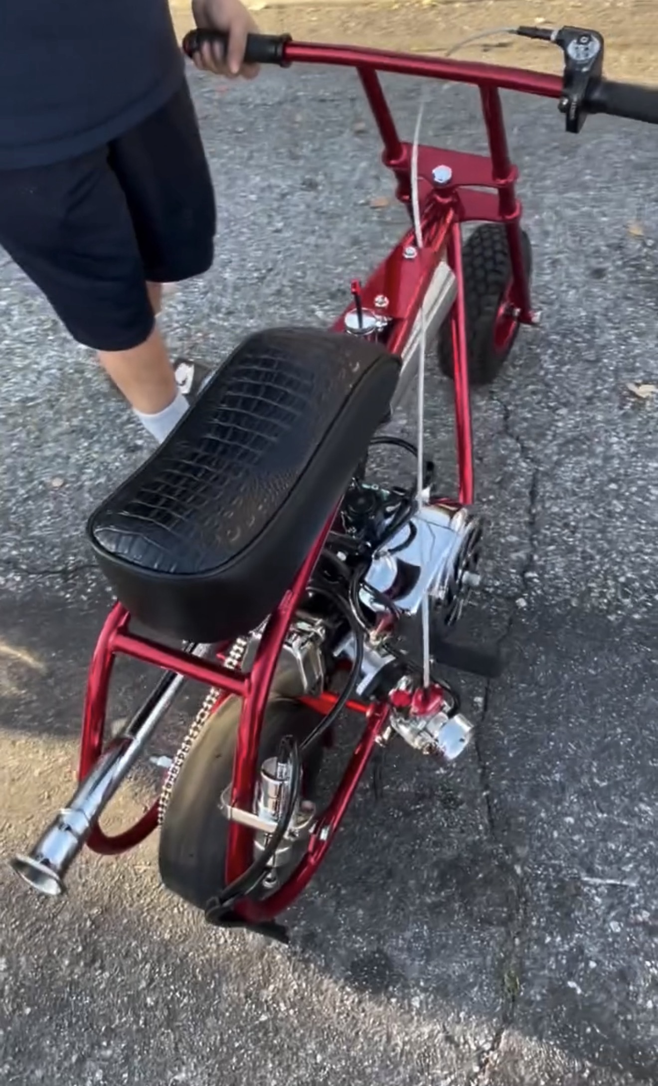 Red Custom Performance Mini Bike