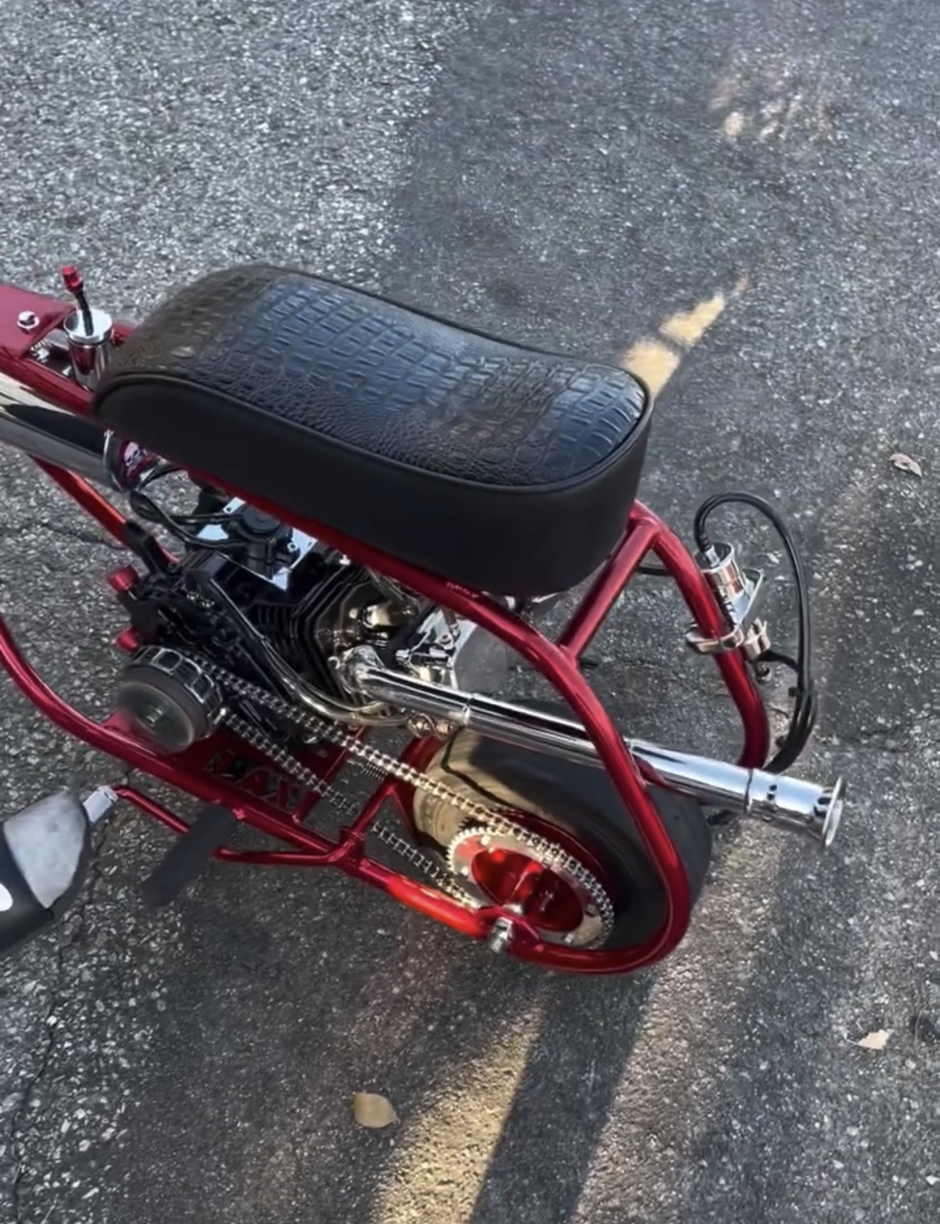 Red Custom Performance Mini Bike - Image 2