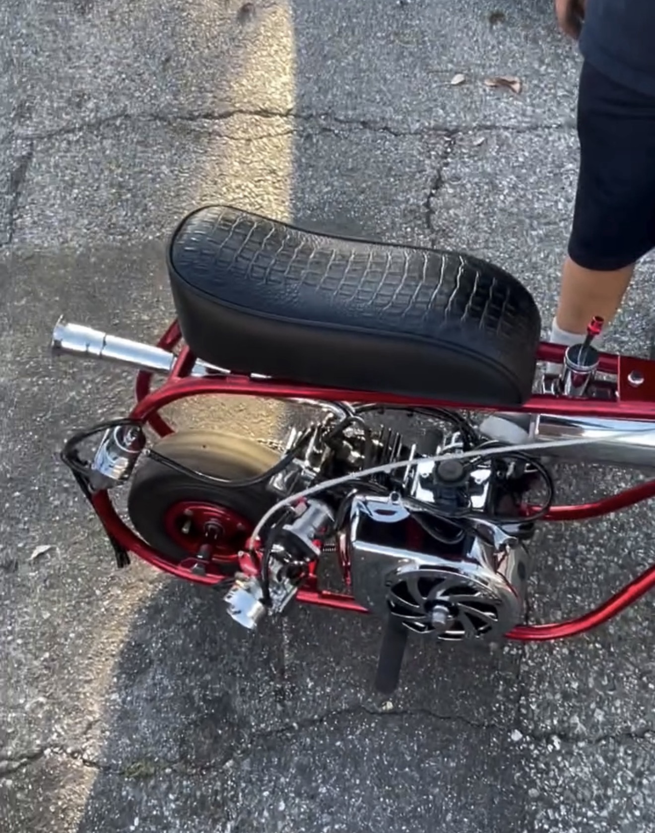 Red Custom Performance Mini Bike - Image 3